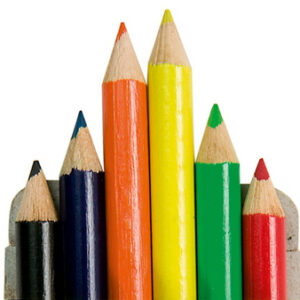 Personalizuotų spalvotų pieštukų rinkinys su vardu ir įstaigos logotipu