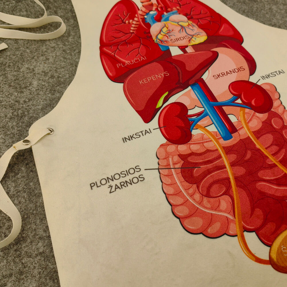 Lietuviška edukacinė prijuostė su vidaus organais