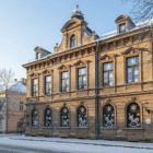 Snaigių rinkinys 12 vnt - karpiniai langų ir sienų dekorui